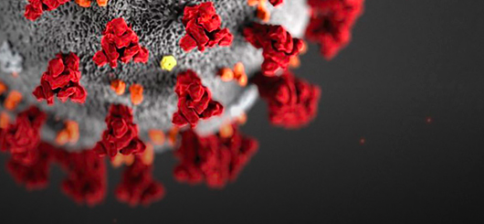 COVID-19 & Eventos na Iscte Business School