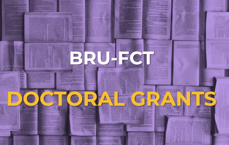 Bolsas FCT Disponíveis | Doutoramentos BRU