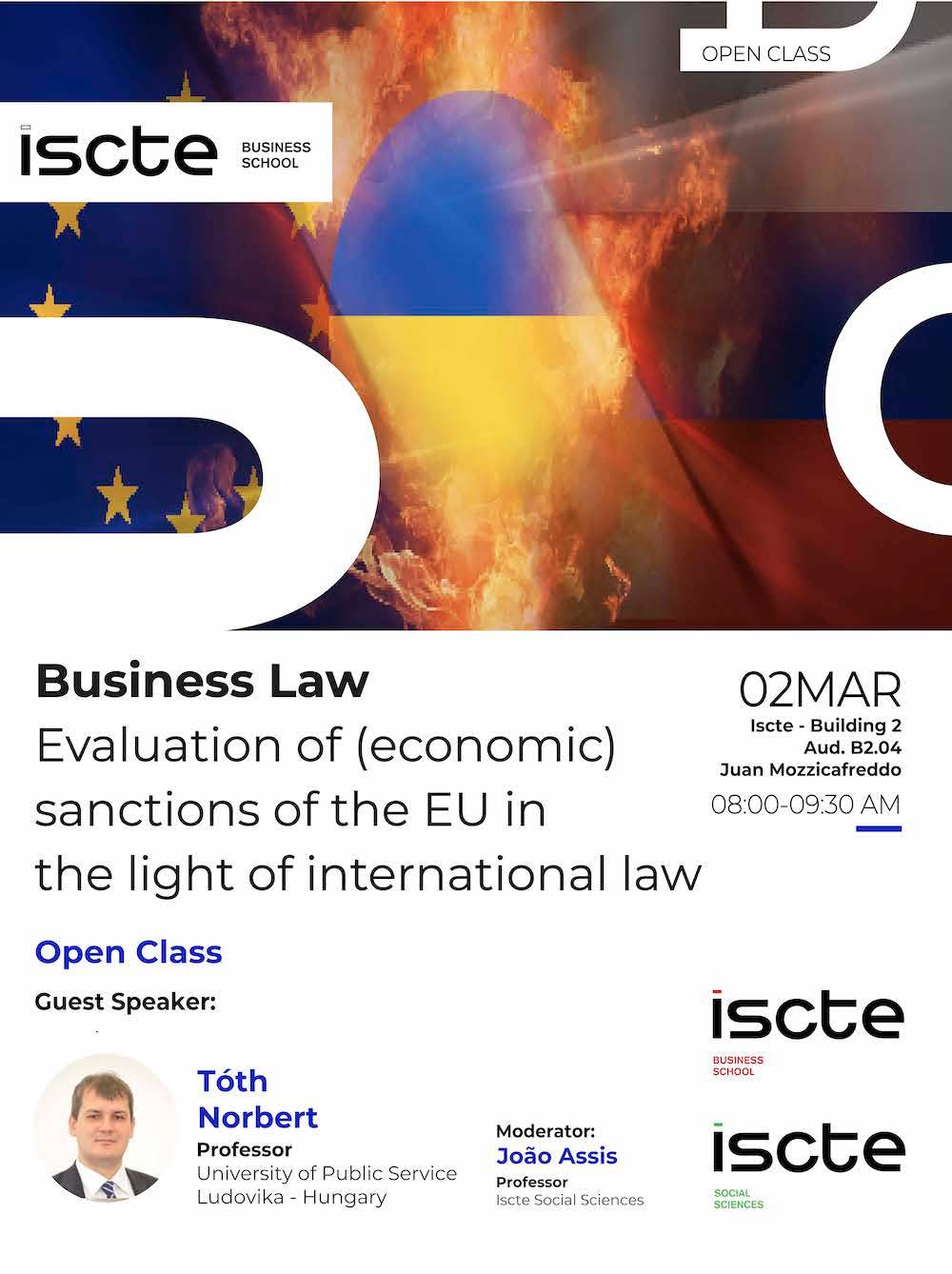 Business Law - Evaluation of (economic) sanctions of the EU in the light of international law